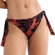 Triumph Summer Palm Tai Bikini Bottom Mixed 38 Damen