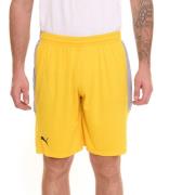 PUMA Basketball Game Herren Shorts mit Mesh-Einsätzen Trainings-Hose 6...