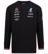 Mercedes-Benz AMG Petronas F1 Herren Sweater Baumwoll-Sweater Freizeit...