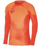 NIKE Gardien IV Herren Torwart-Trikot mit Dri-FIT ADV-Technologie Fußb...