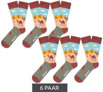 6 Paar Moustard Pyramids and Camels Baumwoll-Socken Wüsten Design mit ...