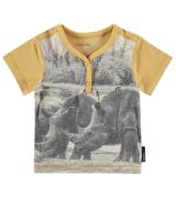 noppies T-Shirt auffälliges Kinder Shirt mit aufgedrucktem Nashorn Gel...